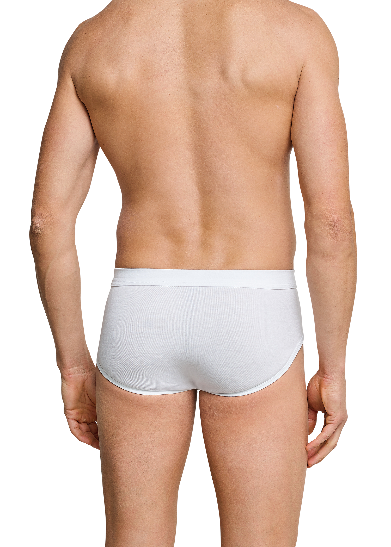 205159-100_back.png