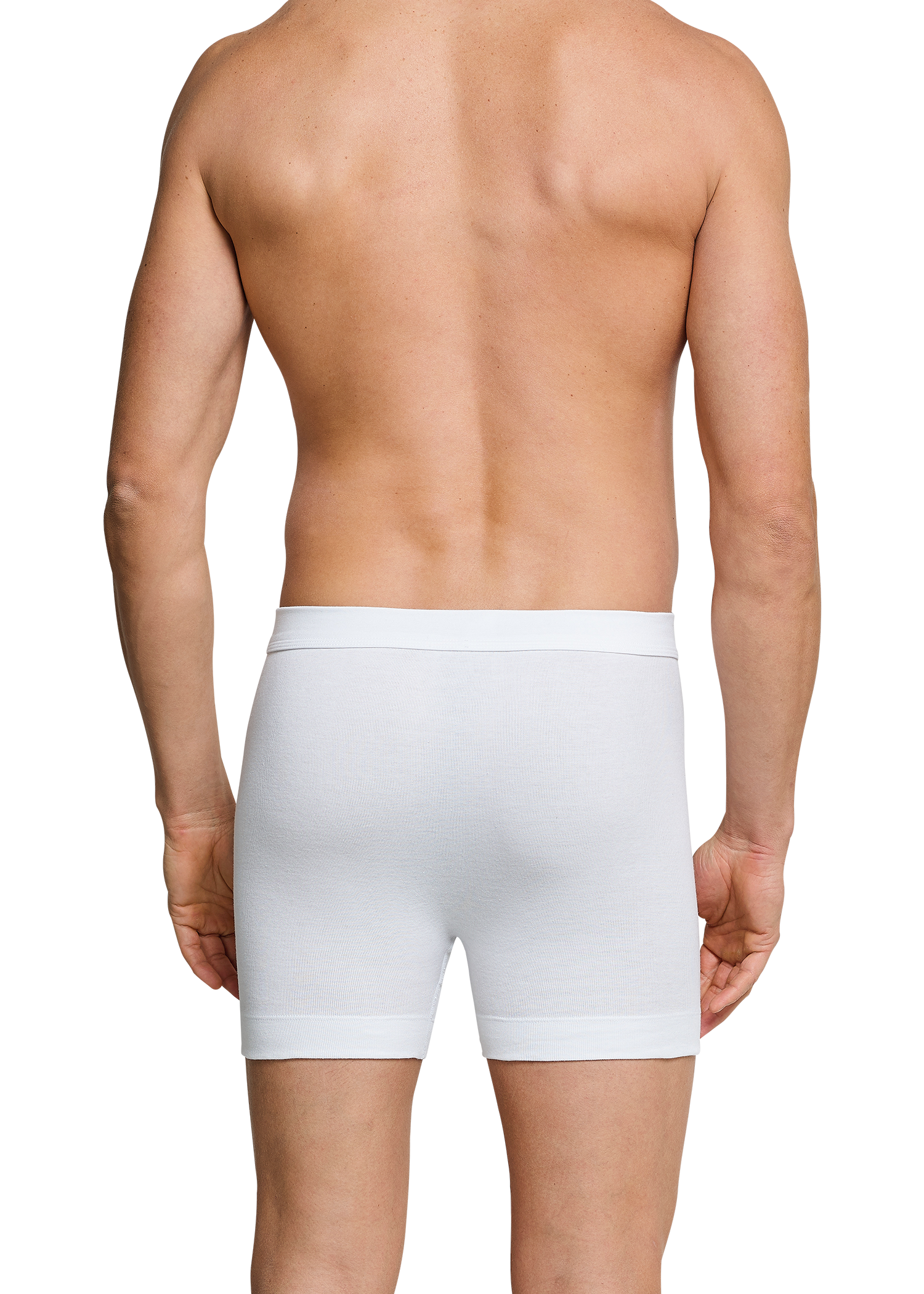 205160-100_back.png