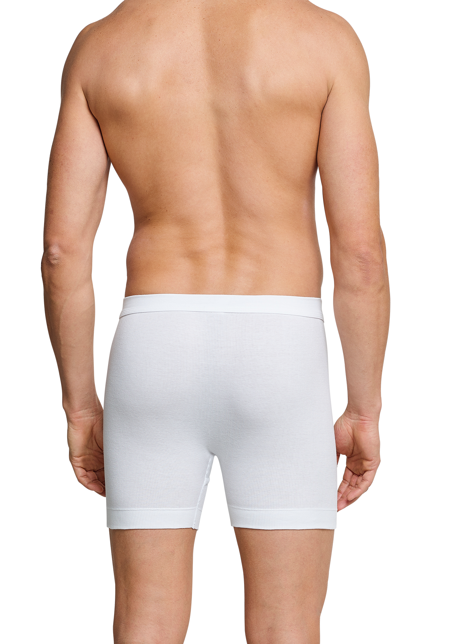 205178-100_back.png