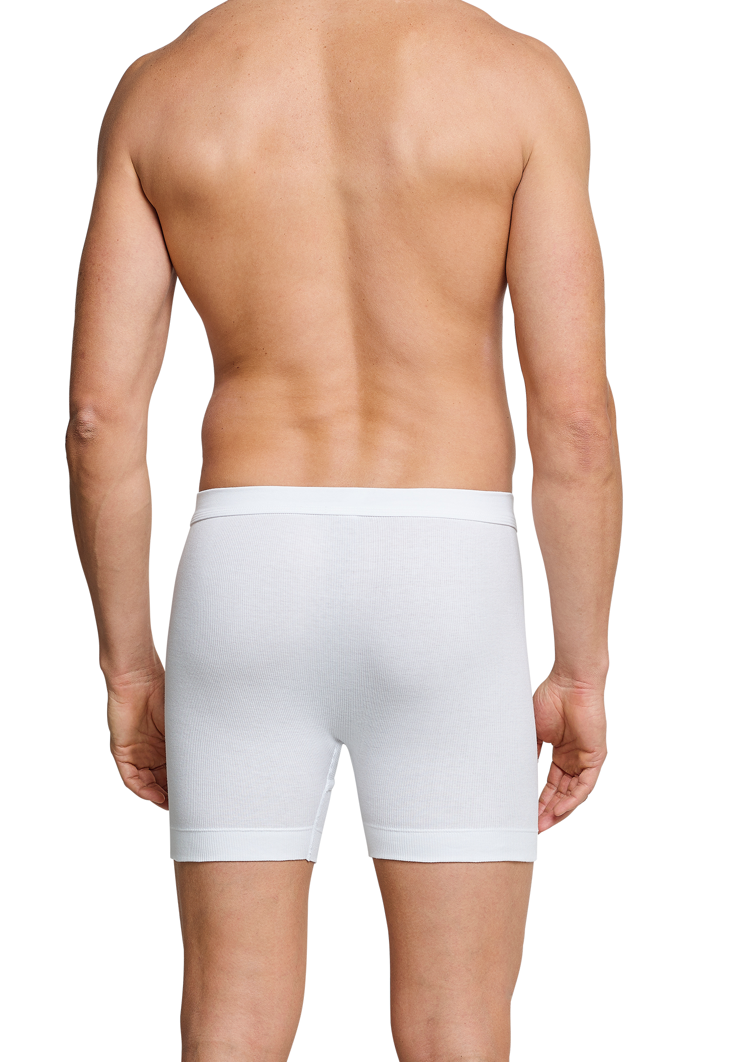 205178-100_back.png