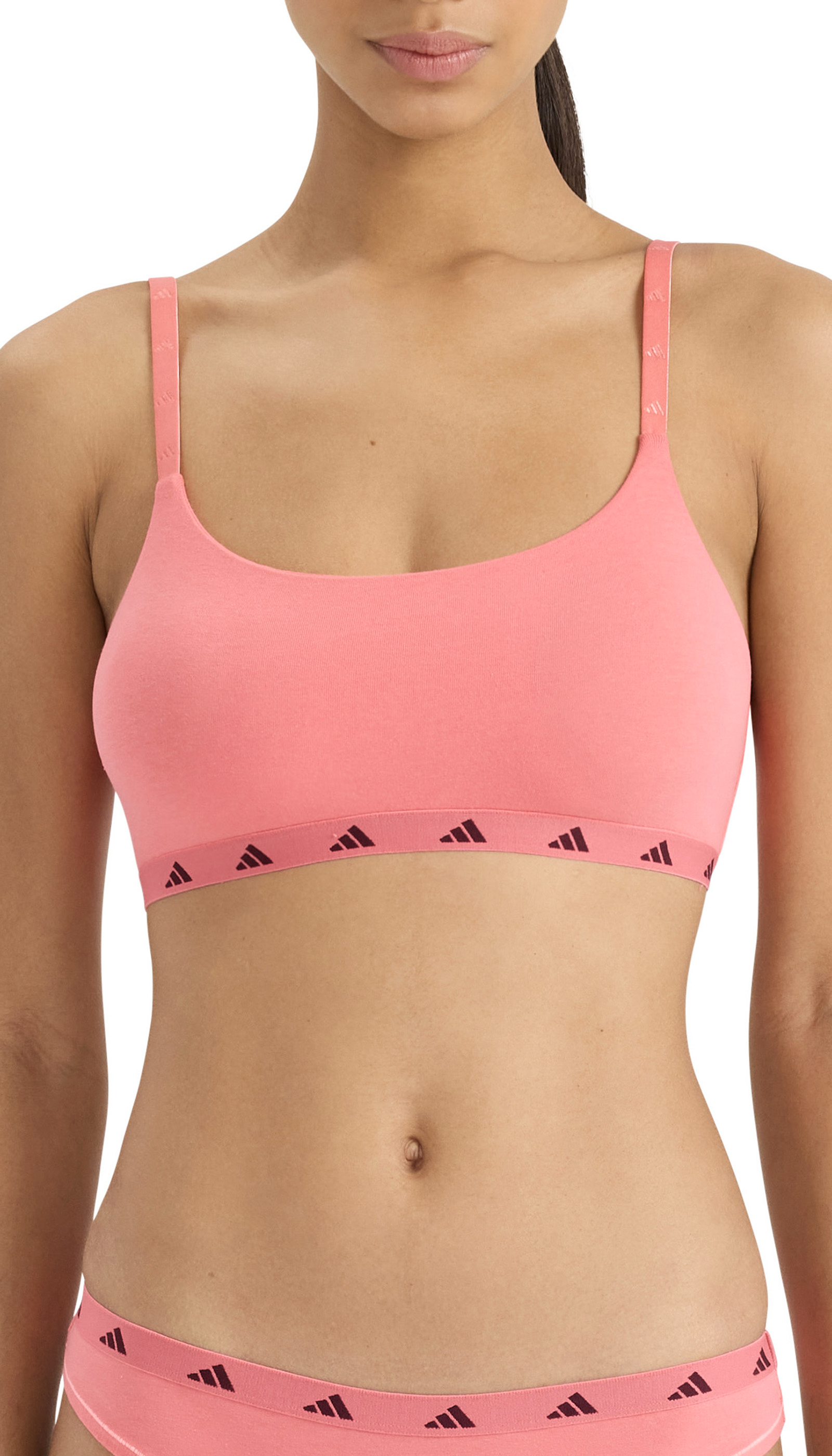 4A0193-517_detail2.png