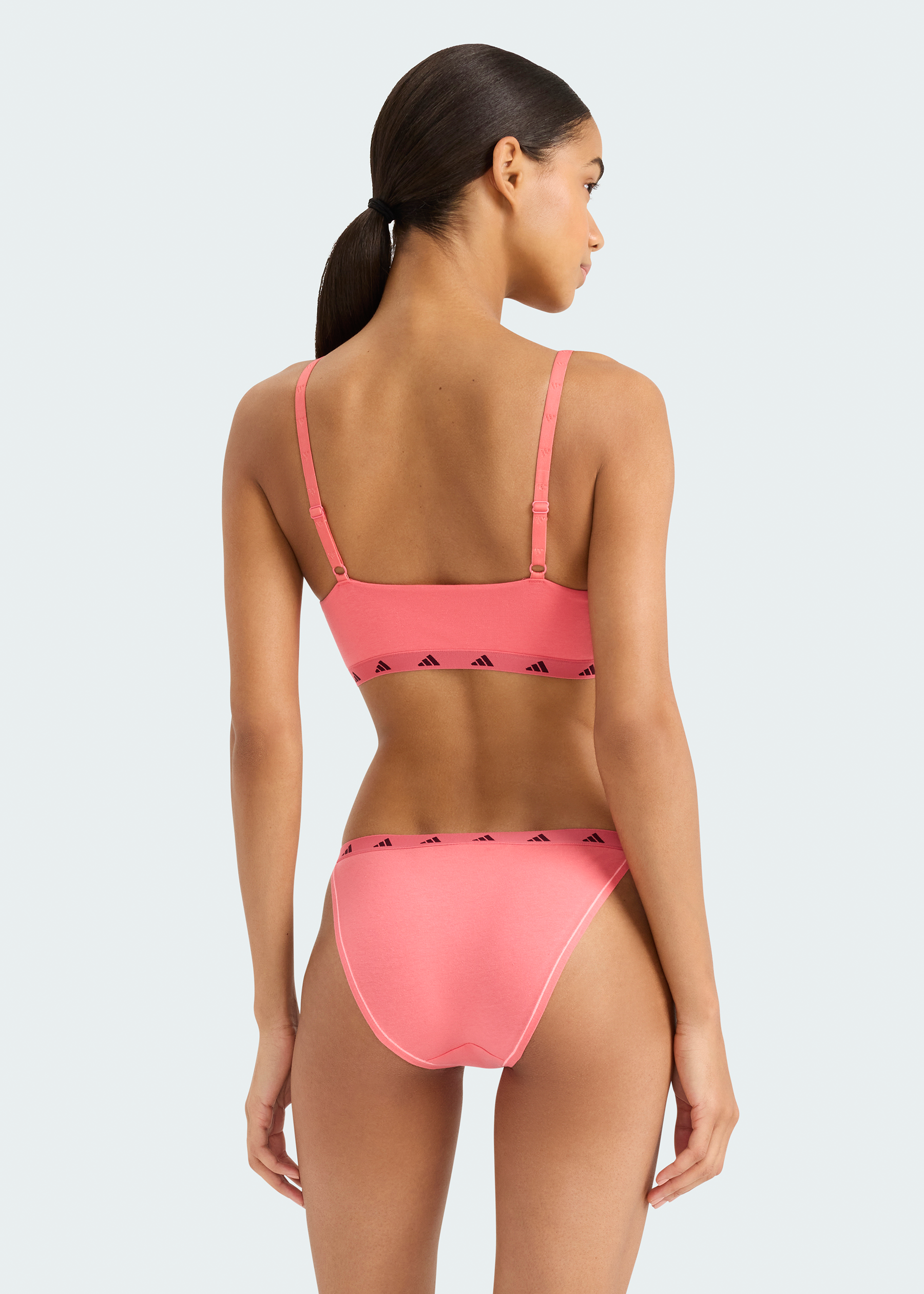 4A0196-517_back.png