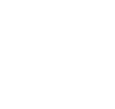 Icon Newsletter