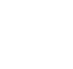 Icon Website